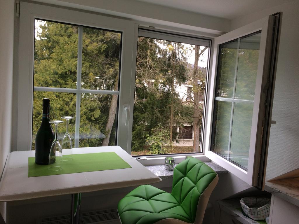 Apartment Deluxe บาเดน-บาเดน ภายนอก รูปภาพ